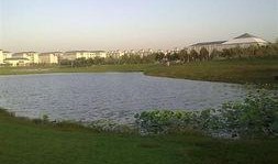 华北水利吃瓜,吃瓜群众眼中的水利变迁与民生福祉