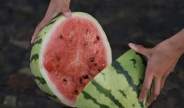 临沧边境大妈吃瓜,临沧边境大妈的夏日吃瓜生活