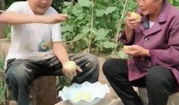 妈妈和儿子吃瓜,妈妈与儿子共享夏日瓜香时光