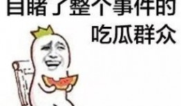 热乎的吃瓜群众,揭秘吃瓜群众的热情与智慧