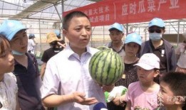 徐锦吃瓜,揭秘娱乐圈幕后故事