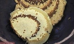 吃瓜的蜂,揭秘蜜蜂世界的趣味生活