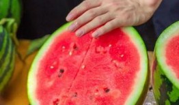 吃瓜基本操作,解锁吃瓜基本操作指南