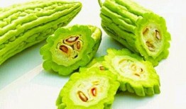 伊丽莎白瓜苦怎么吃