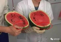 吃瓜群众不敢走,勇敢迈出第一步，不再畏缩不前