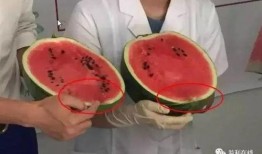 吃瓜群众不敢走,勇敢迈出第一步，不再畏缩不前