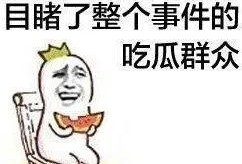 全体吃瓜,吃瓜群众如何定义当代网络文化现象