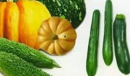 安霞吃瓜,揭秘娱乐圈幕后故事