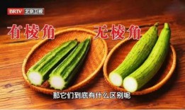 夏天拌糖吃的瓜叫什么瓜