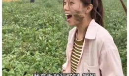 吃瓜舅,网络红人的崛起与争议