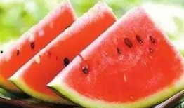 仙海吃瓜,揭秘仙界吃瓜风云