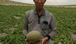 陈康吃瓜,揭秘娱乐圈幕后故事