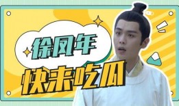 软件 X桌面 吃瓜