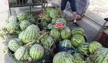 厦门酒吧吃瓜事件,一场意外引发的舆论风波