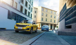 斯柯达吃瓜群众,揭秘汽车圈的热议焦点