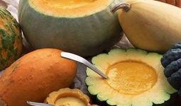 美国王佳仪吃瓜,揭秘娱乐圈的“吃瓜”传奇