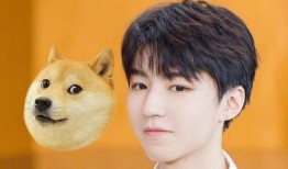 王俊凯吃瓜专业,娱乐圈吃瓜达人，揭秘明星幕后故事