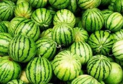 每天吃瓜的感受,品味生活百态