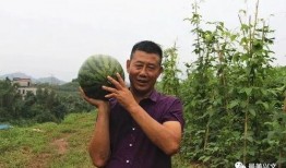 兴文县吃瓜,探寻地方特色美食之旅