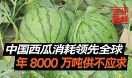 中国吃瓜群众视频,短视频中的社会现象与网络文化