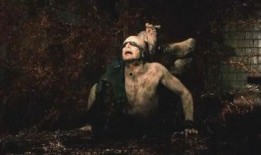 恐怖吃瓜系列图片,惊悚瞬间，瓜田惊魂