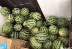 各种爆料吃瓜群,吃瓜群爆料背后的真相与内幕