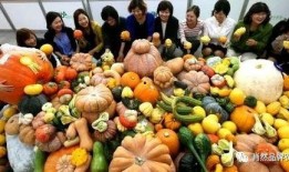 临淄吃瓜打架,一场闹剧引发的街头冲突