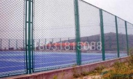 学校护栏吃瓜后续