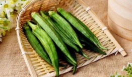 角瓜可否焯水冷冻吃