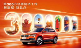 斯柯达吃瓜群众,揭秘汽车圈的热议焦点