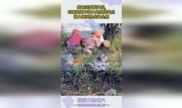 临沧边境大妈吃瓜,临沧边境大妈的夏日吃瓜生活