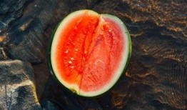 钱塘江吃瓜,一场别开生面的吃瓜盛事