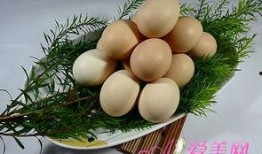 吃生瓜补脑,揭秘神奇食材的神奇功效