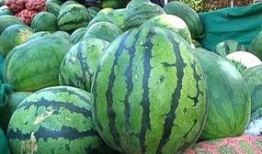 吃瓜严选,揭秘热门话题背后的真相与内幕