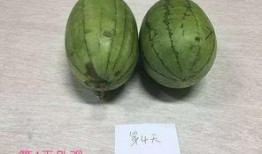 审美变美吃瓜,解锁美丽新姿势