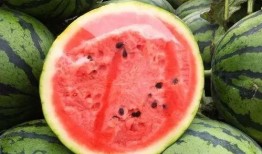 吃瓜群众为什么是西瓜,网络文化的演变与解读