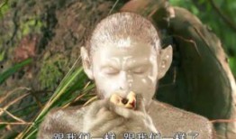 长毛瓜怎么吃,解锁美味新体验