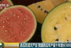 吃瓜群众为什么是西瓜,网络文化的演变与解读