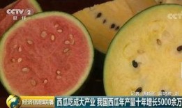 吃瓜群众为什么是西瓜,网络文化的演变与解读