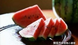 路过吃瓜打酱油,路过吃瓜打酱油，见证人间百态