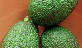 梦见吃桃吃柿子椒哈密瓜