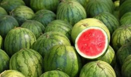 吃瓜到国外,探索各国特色美食之旅