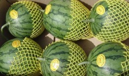 吃瓜前准备吃的,开启味蕾盛宴之旅