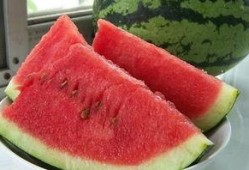 吃瓜比赛作文500,一场舌尖上的吃瓜盛宴