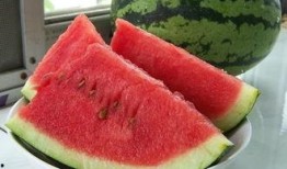 吃瓜比赛作文500,一场舌尖上的吃瓜盛宴