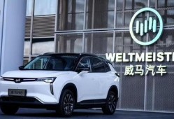 威马汽车吃瓜,揭秘新能源汽车行业背后的风波与真相