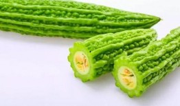 吃瓜系统夏齐念