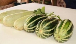 荷兰网红吃瓜视频,揭秘瓜界新潮流