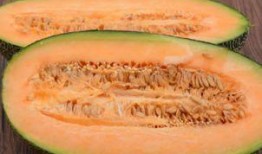 吃韭菜可以吃哈密瓜吗,探索两者同食的奥秘