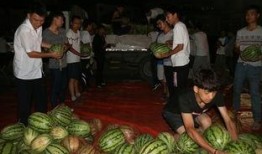 景区吃瓜原型,探秘景区特色美食之旅